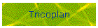 Tricoplan